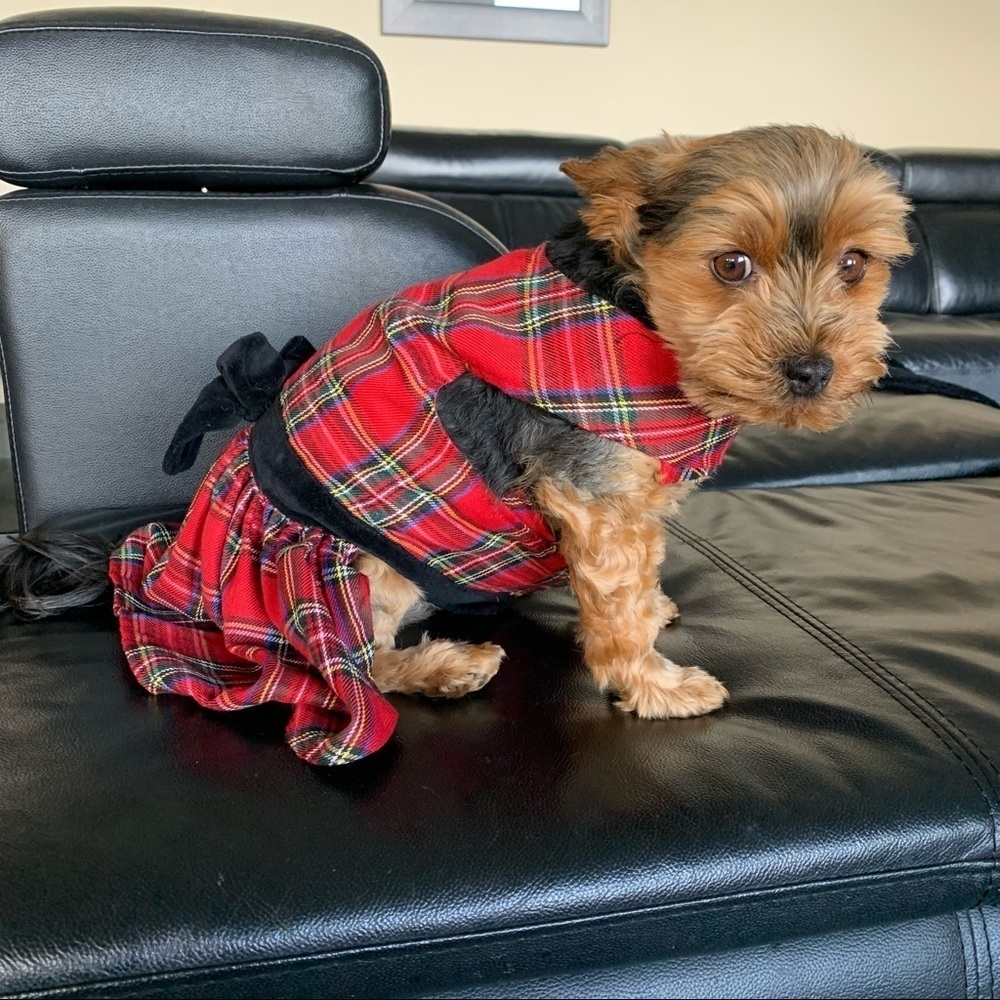 EAST Side Coll. Sm. Breed Dog Plaid Check Red Dress Sz. Med.